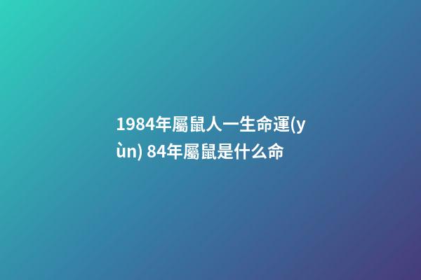 1984年屬鼠人一生命運(yùn) 84年屬鼠是什么命